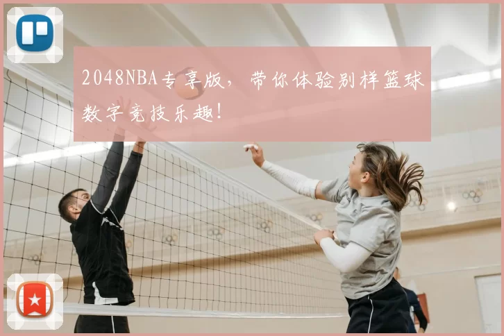 2048NBA专享版，带你体验别样篮球数字竞技乐趣！