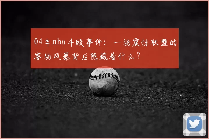 04年nba斗殴事件：一场震惊联盟的赛场风暴背后隐藏着什么？