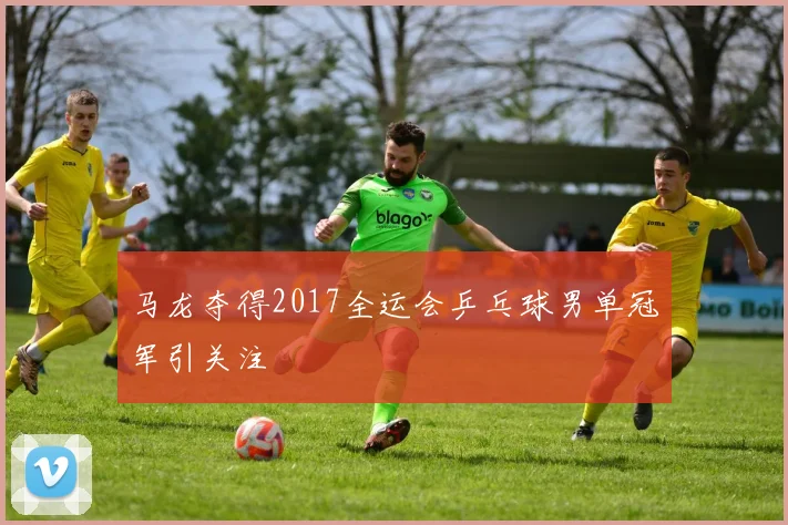 马龙夺得2017全运会乒乓球男单冠军引关注