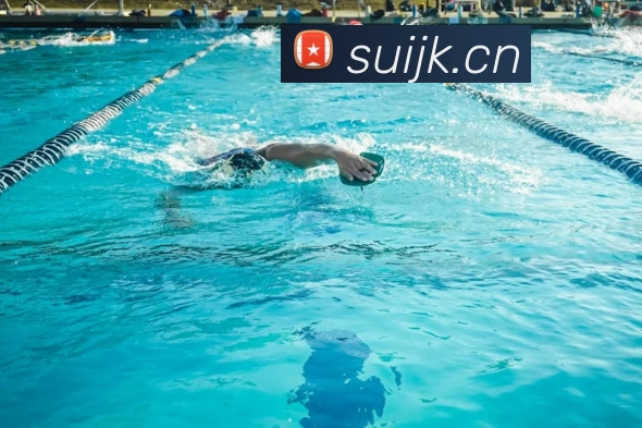 多媒体互动体验